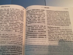 "My NT Greek is dodgy and my Chinese non-existent, but I still like to read this 'triglot' Bible because of all the blood, sweat and prayers of Bible translation and production that it represents across hundreds of years."