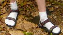 Sandals and socks