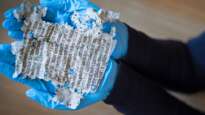 Curator Anna Forest examines a 15th century illuminated manuscript discovered under the floorboards of Oxburgh Hall by archaeologists. Image: Mike Hodgson / National Trust UK